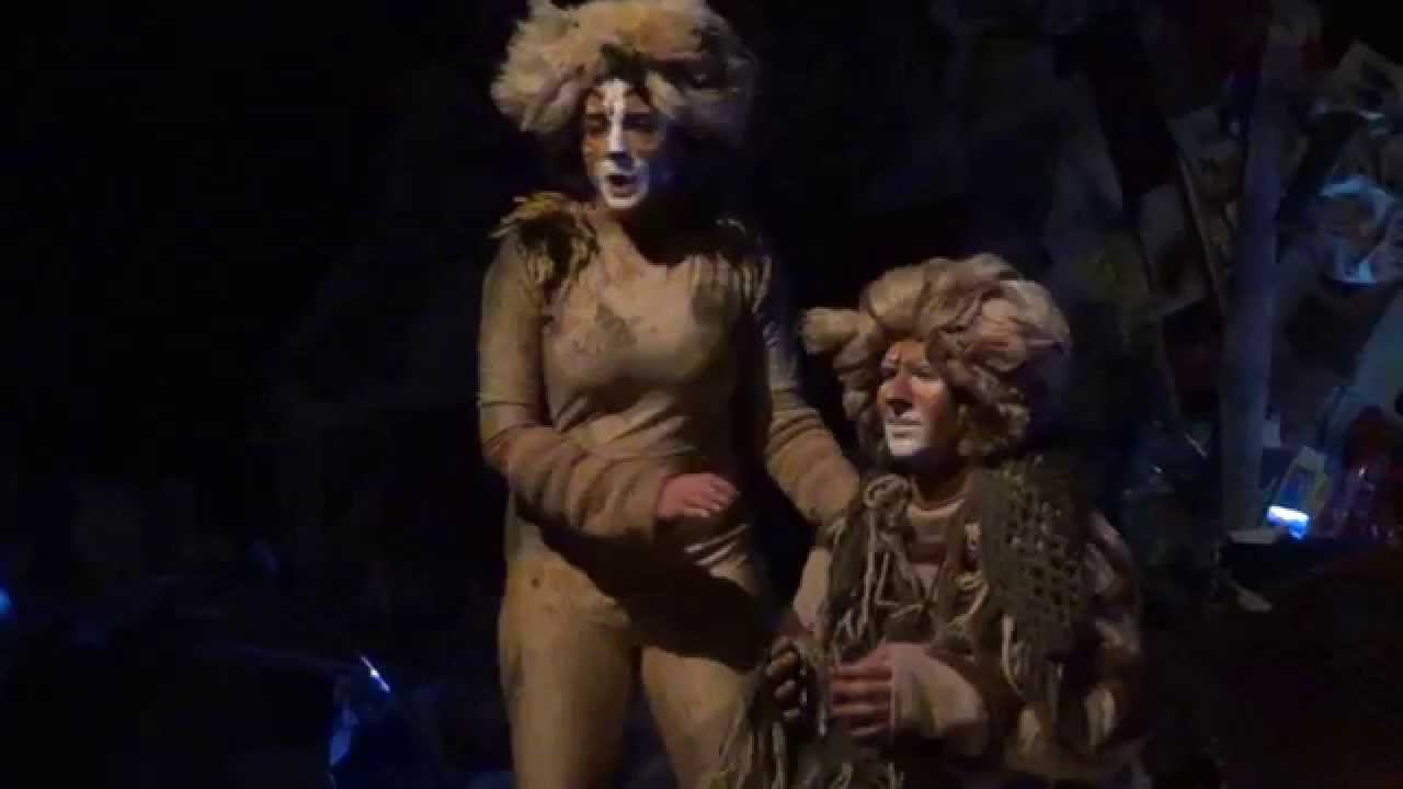 CK Productions CATS - "Gus the Theatre Cat" 11/23/14 смотреть онлайн