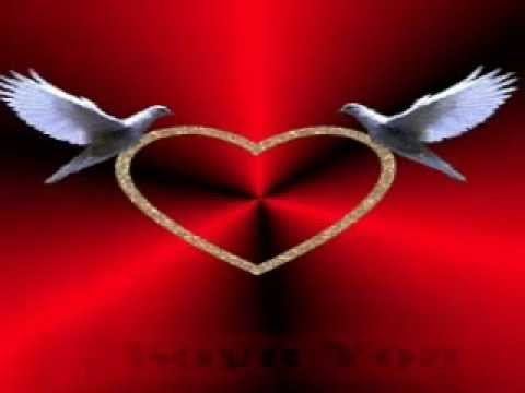 ilkin shemkirli ИСТОРИЯ ЛЮБВИ NEW 2012 смотреть онлайн