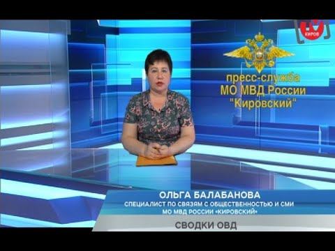 СВОДКИ ОВД ОТ 26.08.22 смотреть онлайн