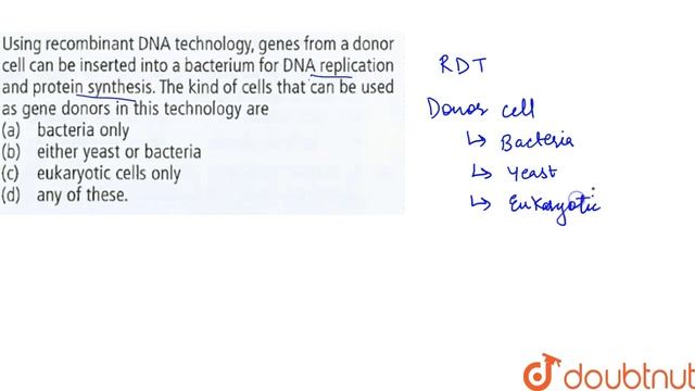Using recombinant DNA technology, genes from a donor cell can be inserted into a bacterium for смотреть онлайн