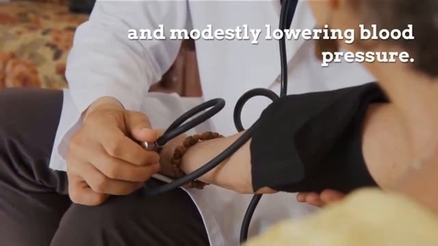 Health Benefits of Probiotics | Are Probiotics Good for Your Health? смотреть онлайн