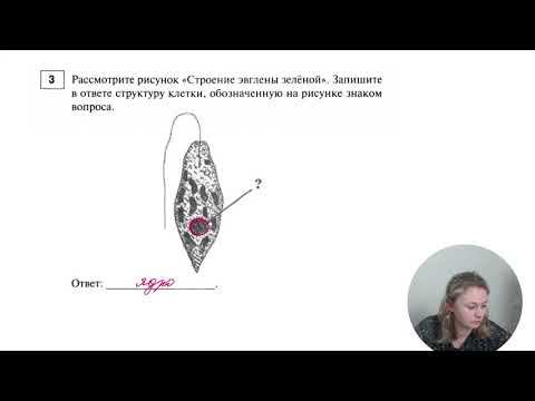 51 смотреть онлайн