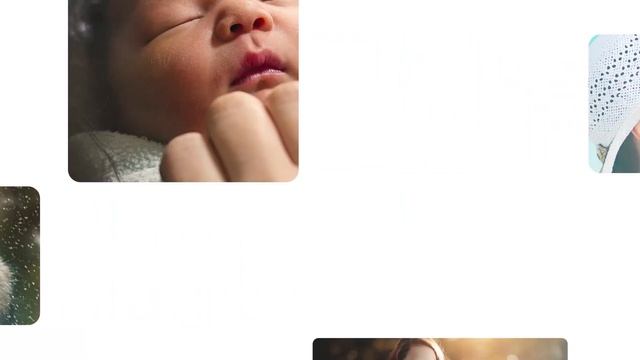 Ph 41 смотреть онлайн