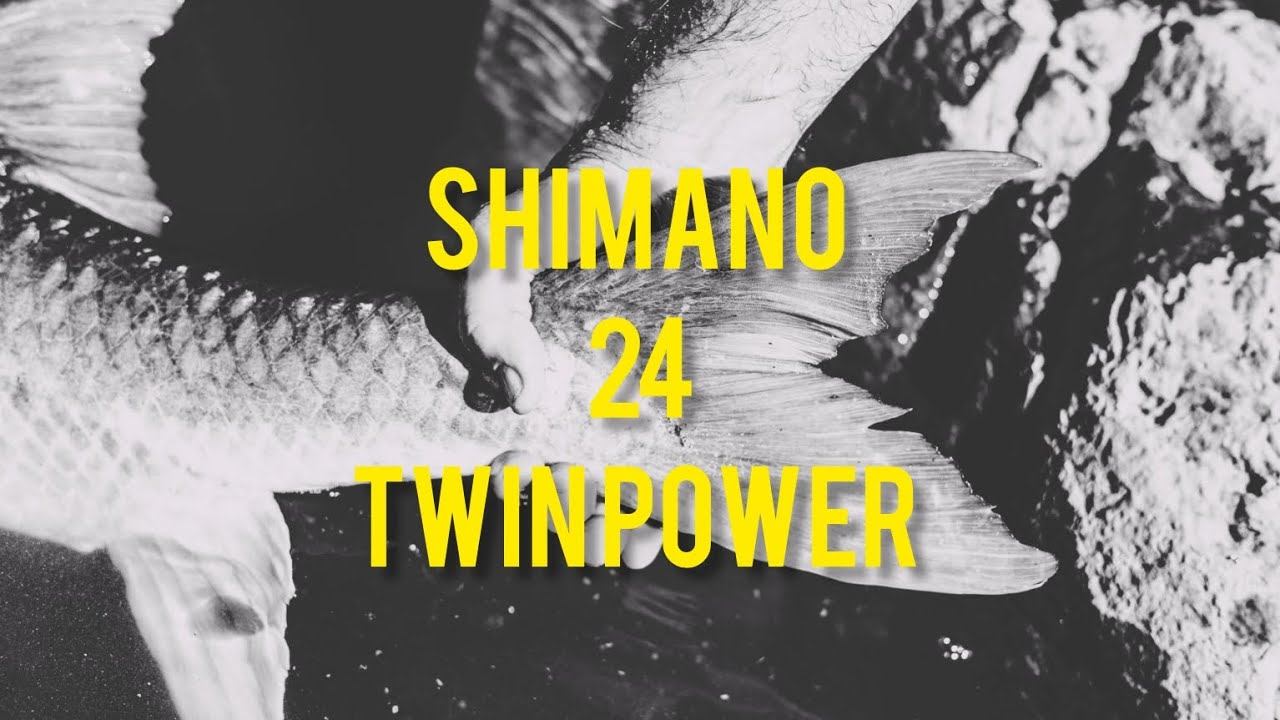 Shimano 24 Twin Power, много про него нечего рассказывать, берём и ловим