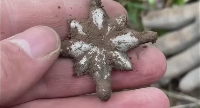 Шок!Нашёл 5 копеек крестовик мечту кладоискателя! смотреть онлайн