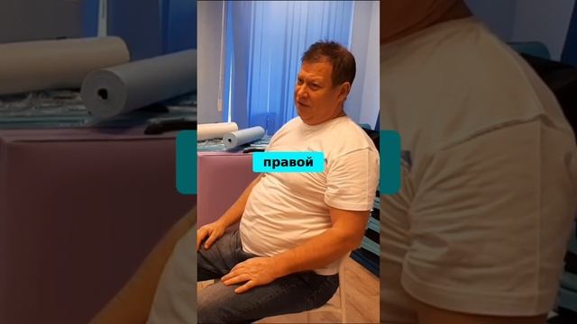 Анатомия мозга и функциональные особенности левого и правого полушарий смотреть онлайн
