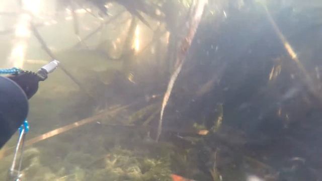 Никогда не спеши! смотреть онлайн