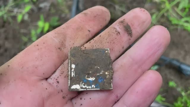 Лесной коп!Монеты и грибы! смотреть онлайн