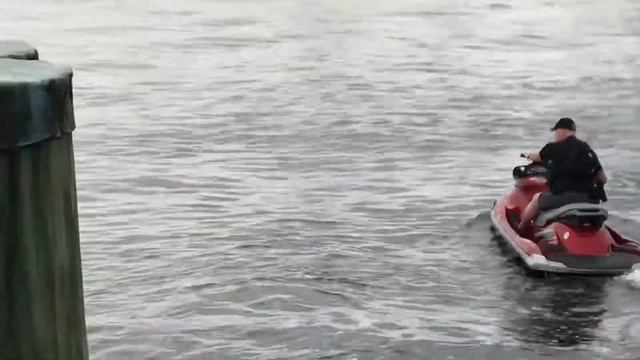 08/08/20 GiGo NYC swim h - https://gigo.org/hudson-river-swim/ смотреть онлайн