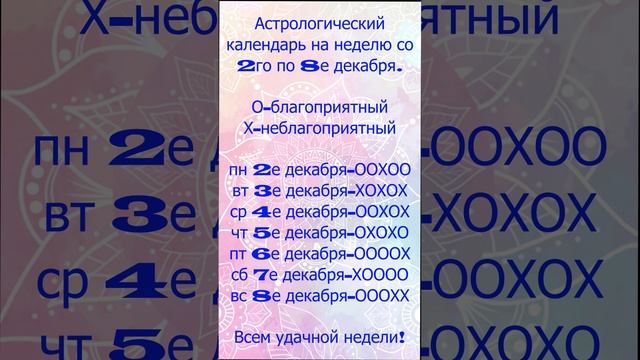 Что приготовили звезды на неделю со 2го по 8е декабря смотреть онлайн