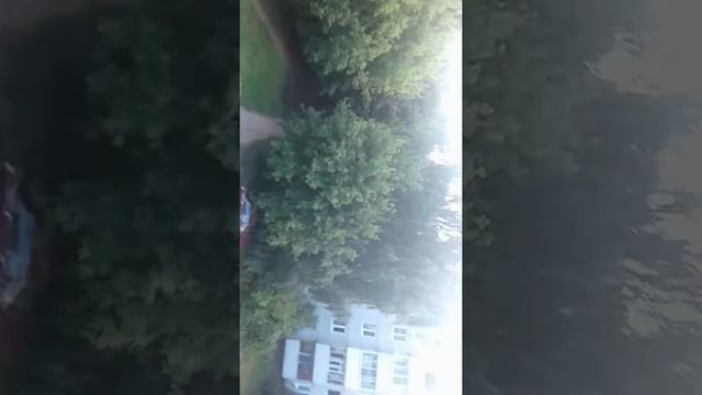 4 августа 2017 г. смотреть онлайн