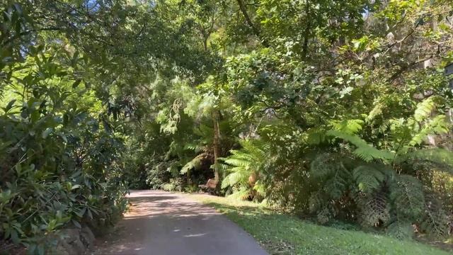DANDENONG RANGES BOTANIC GARDEN, OLINDA VICTORIA 12.2021 • 4K • смотреть онлайн