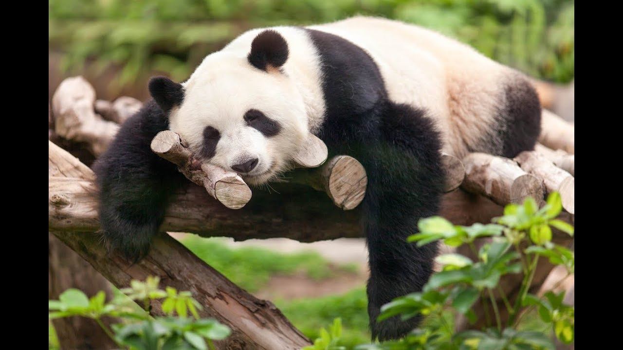 БАТАРЕЙКА ДаркСайд смотреть онлайн