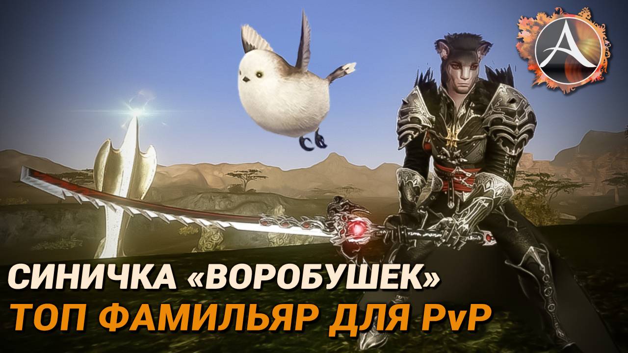 ArcheAge. «Снежок, отважный воробушек» — топ фамильяр для PvP смотреть онлайн