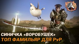 ArcheAge. «Снежок, отважный воробушек» — топ фамильяр для PvP