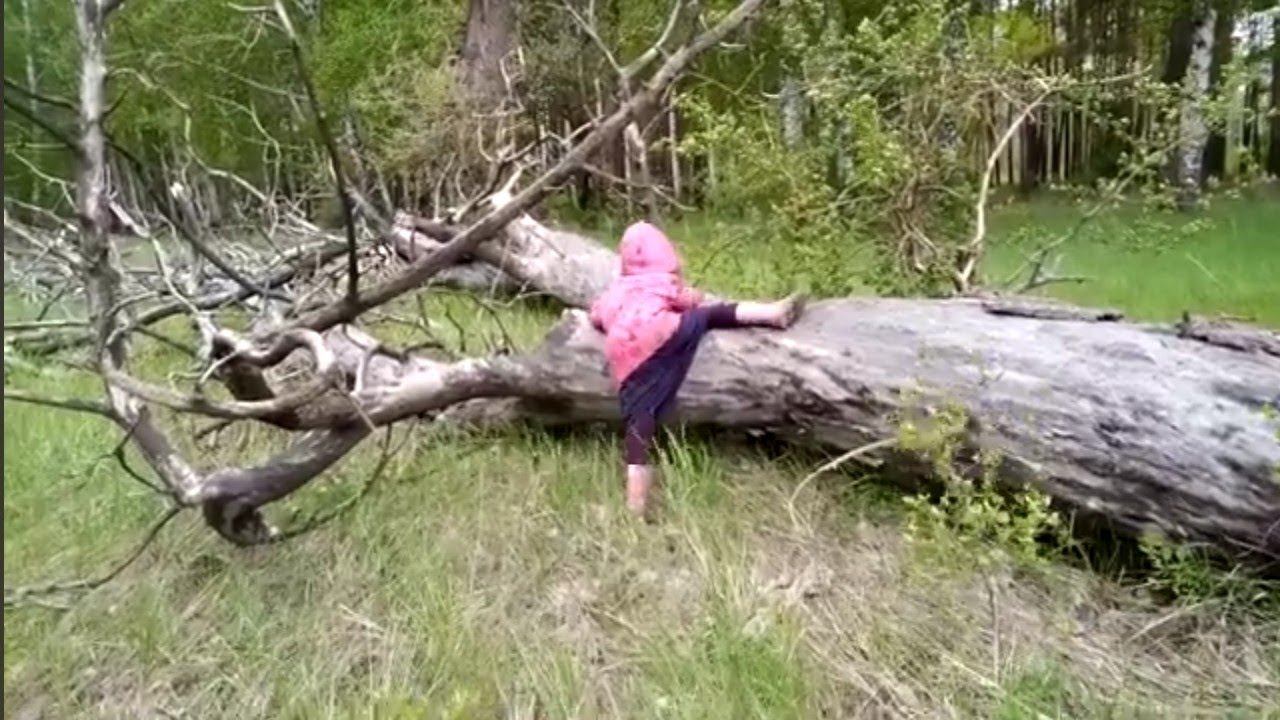 Покоряя бурелом смотреть онлайн