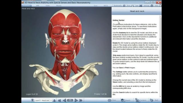 Test Visible Anatomy, 3D Head Anatomy, Atlas Anatomy смотреть онлайн