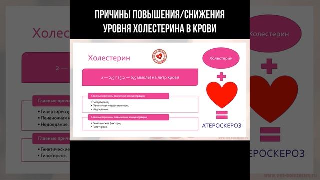 Причины повышения/снижения уровня холестерина в крови #холестерин #гипертиреоз #гипотиреоз смотреть онлайн