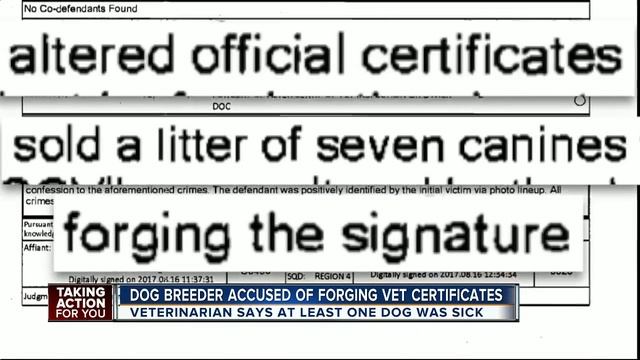 Dog breeder accused of forging vet certificates смотреть онлайн