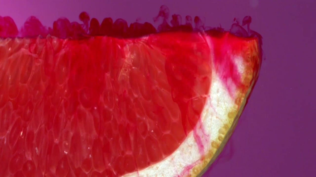 BIOLA ROSEMARY смотреть онлайн