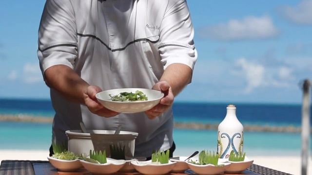 Celebrate Global Wellness Day at Lily Beach Resort & Spa, Maldives смотреть онлайн