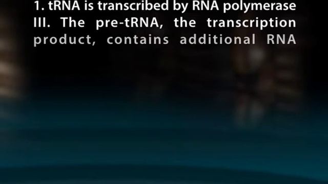 EXPRESSION OF GENE RNA PROCESSING смотреть онлайн