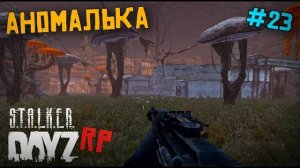 АНОМАЛЬНАЯ ПЕЩЕРА В ОДИНОЧКУ. DAYZ STALKER RP 23 серия (Перезалив MALAMADROS LIFE)