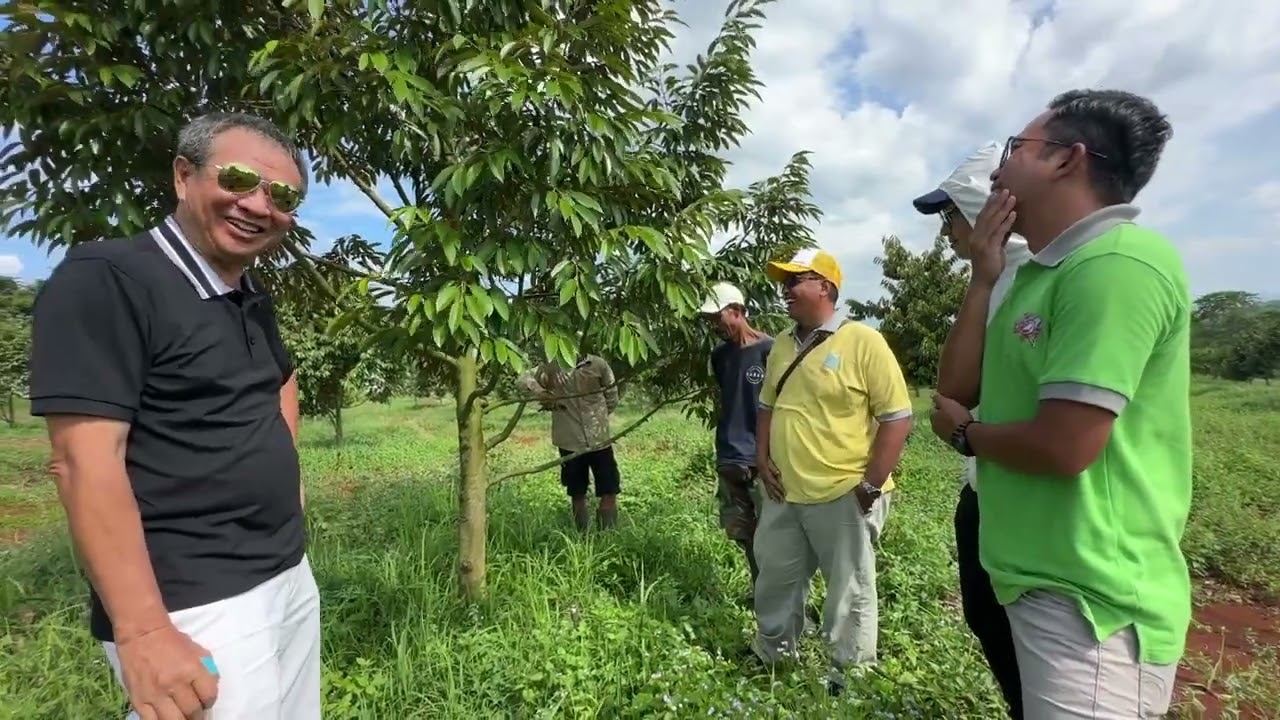 Pembahasan perawatan pohon durian bersama team maroke april 2024 смотреть онлайн