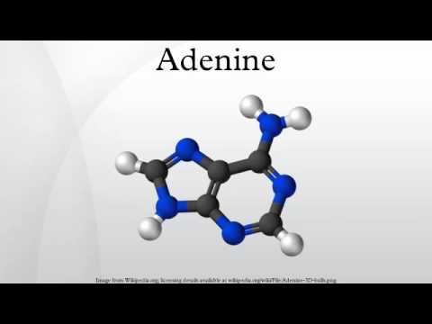 Adenine смотреть онлайн