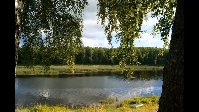 таймлапс...У Клённовского острова. р.Луга смотреть онлайн