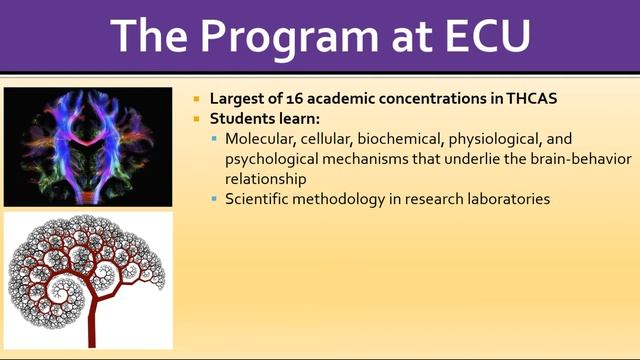 Explore a Major: Neuroscience смотреть онлайн