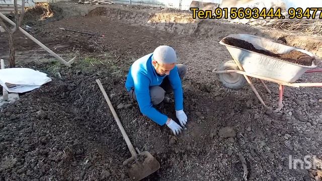 Павловния Тарзи шинондани дарахти павловния смотреть онлайн