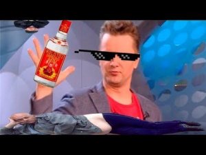 Пушной, и ещё Пушнее 1 | RYTP | Галилео RYTP