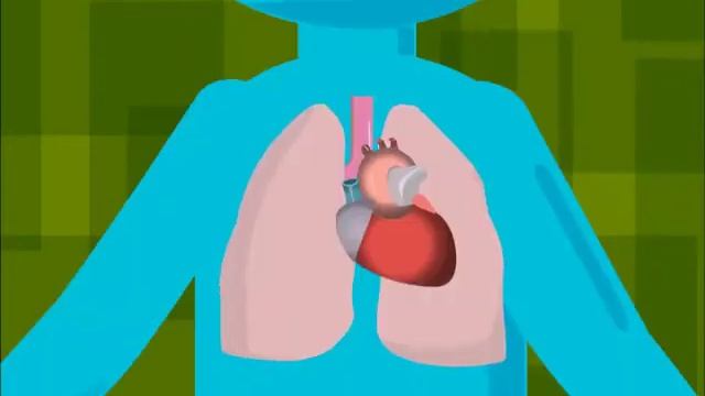 Гигиена және тазалық смотреть онлайн