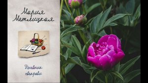 Аудиокнига Марии Метлицкой «Дневник свекрови»