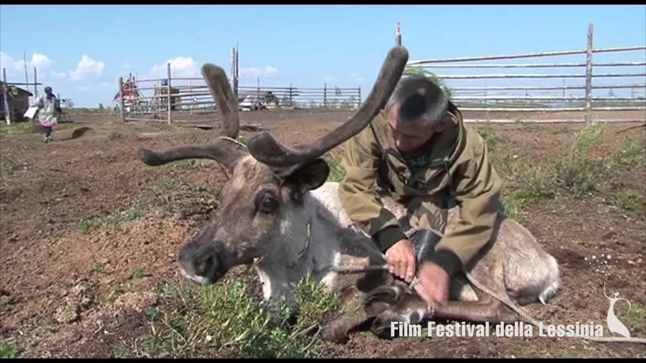 MESTOROZHDENIE - FFDL 2013 смотреть онлайн