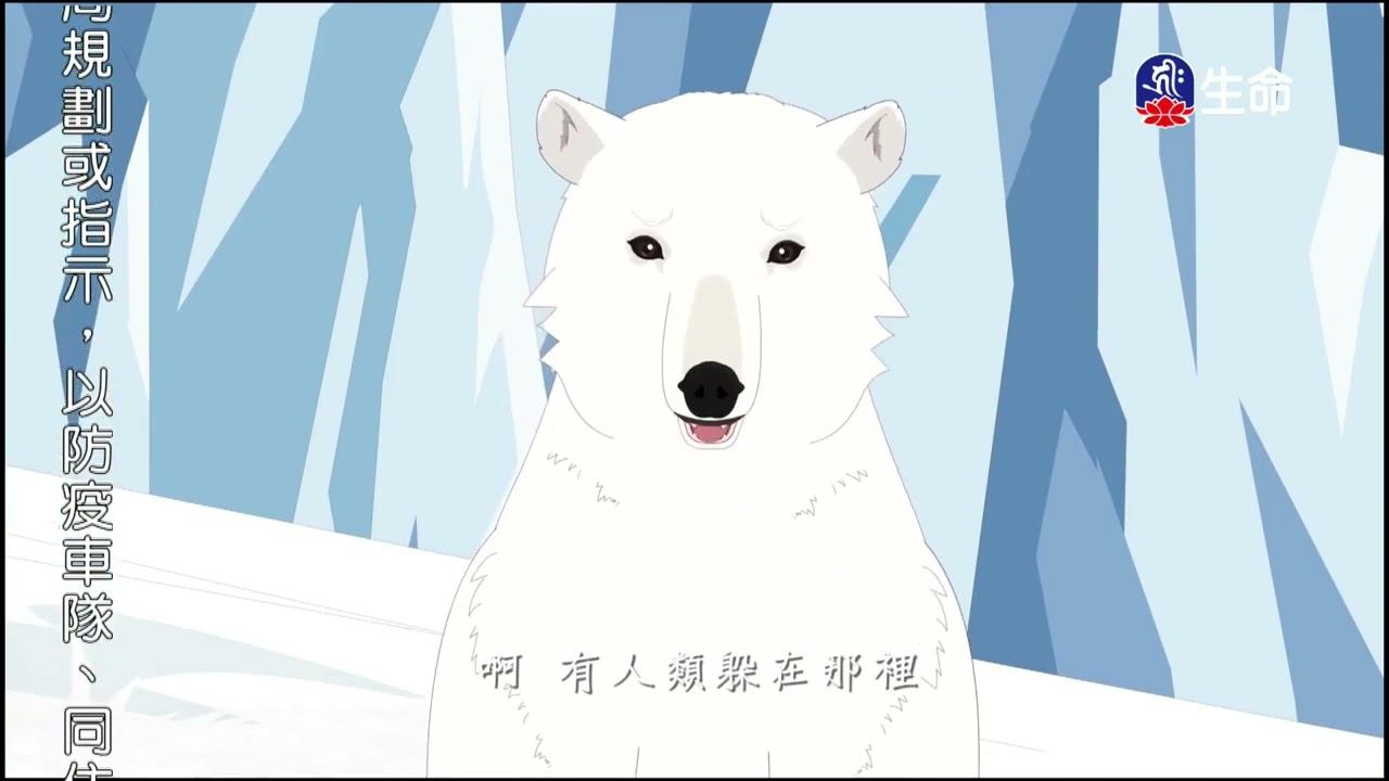 北極熊媽媽、會看門的公雞_愛護生命卡通動畫系列_(lifetv_20220823_19:00) смотреть онлайн