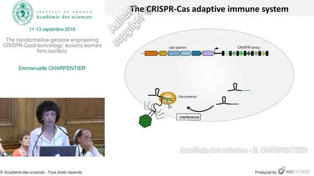 [Conférence] - E. CHARPENTIER - The transformative genome engineering CRISPR-Cas9 technology смотреть онлайн