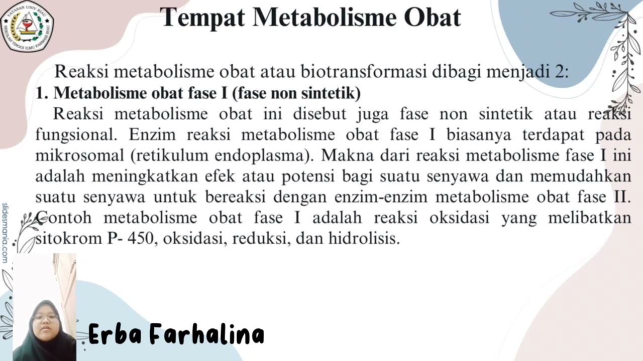 Metabolisme Obat, Kelas E 2024 смотреть онлайн