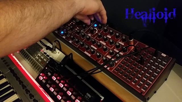 Behringer Neutron osc controlling Korg SQ-1 sync/tempo = Chaotic Noise Machine!! смотреть онлайн