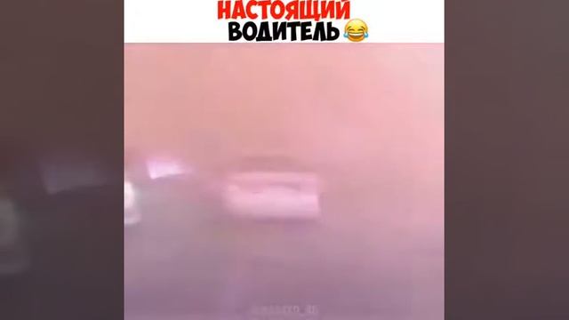 Феномен русского мата смотреть онлайн