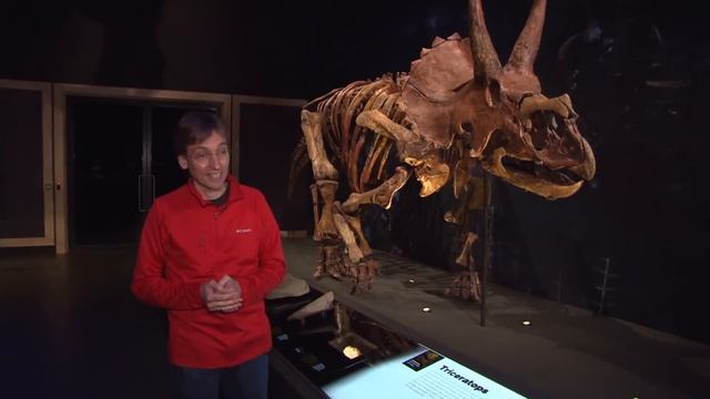 Nieuw bewijs voor hoe dino's zijn uitgestorven смотреть онлайн
