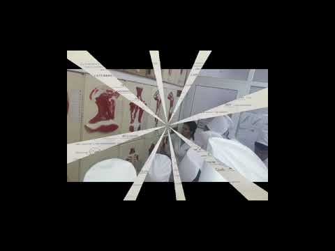 Орозалиева Нурбубу Каримжановна преподаватель кафедры анатомии смотреть онлайн