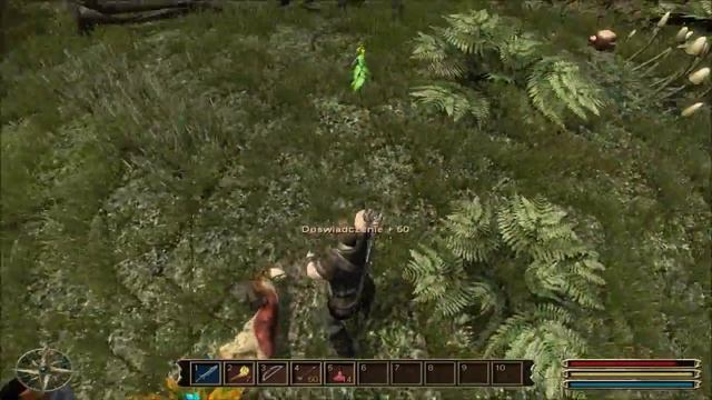 Zagrajmy w Gothic 3 odc.1 Paskudne Dziki смотреть онлайн