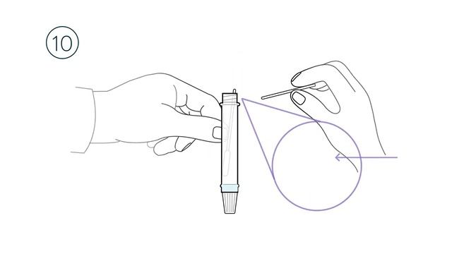 Panbio™ COVID 19 Antigen Self Test and NAVICA App Procedure FOR USE IN INDIA смотреть онлайн