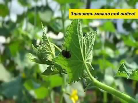 Аквариумные удобрения смотреть онлайн