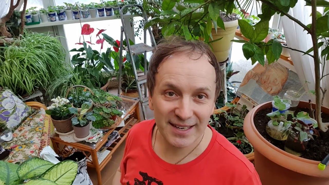 Век живи, век учись смотреть онлайн