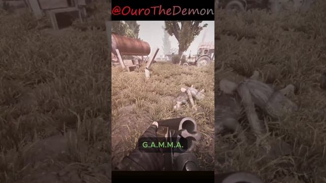 Struggling in Stalker Gamma смотреть онлайн