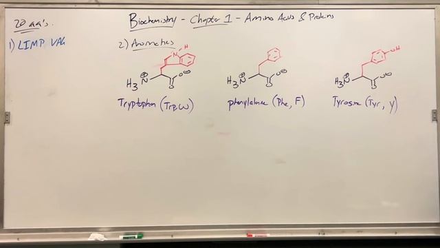 MCAT Biochemistry, Chapter 1- Amino Acids, Peptides, and Proteins (Part 1) смотреть онлайн