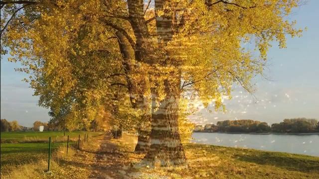 Die Goldene Blüte (The Golden Bloom) by Hans-André Stamm смотреть онлайн